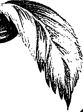 099/099300010500960_0.png