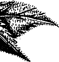 099/099300010500970_0.png