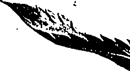 099/099300010500970_1.png