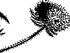 099/099300010500970_2.png