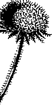 099/099300010500970_3.png