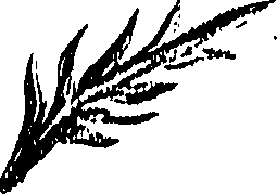 099/099300010500980_0.png