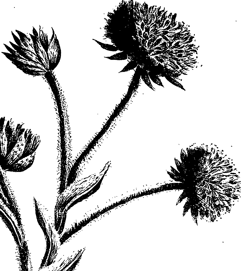 099/099300010501020_0.png