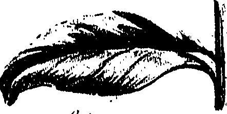 099/099300010501030_0.png