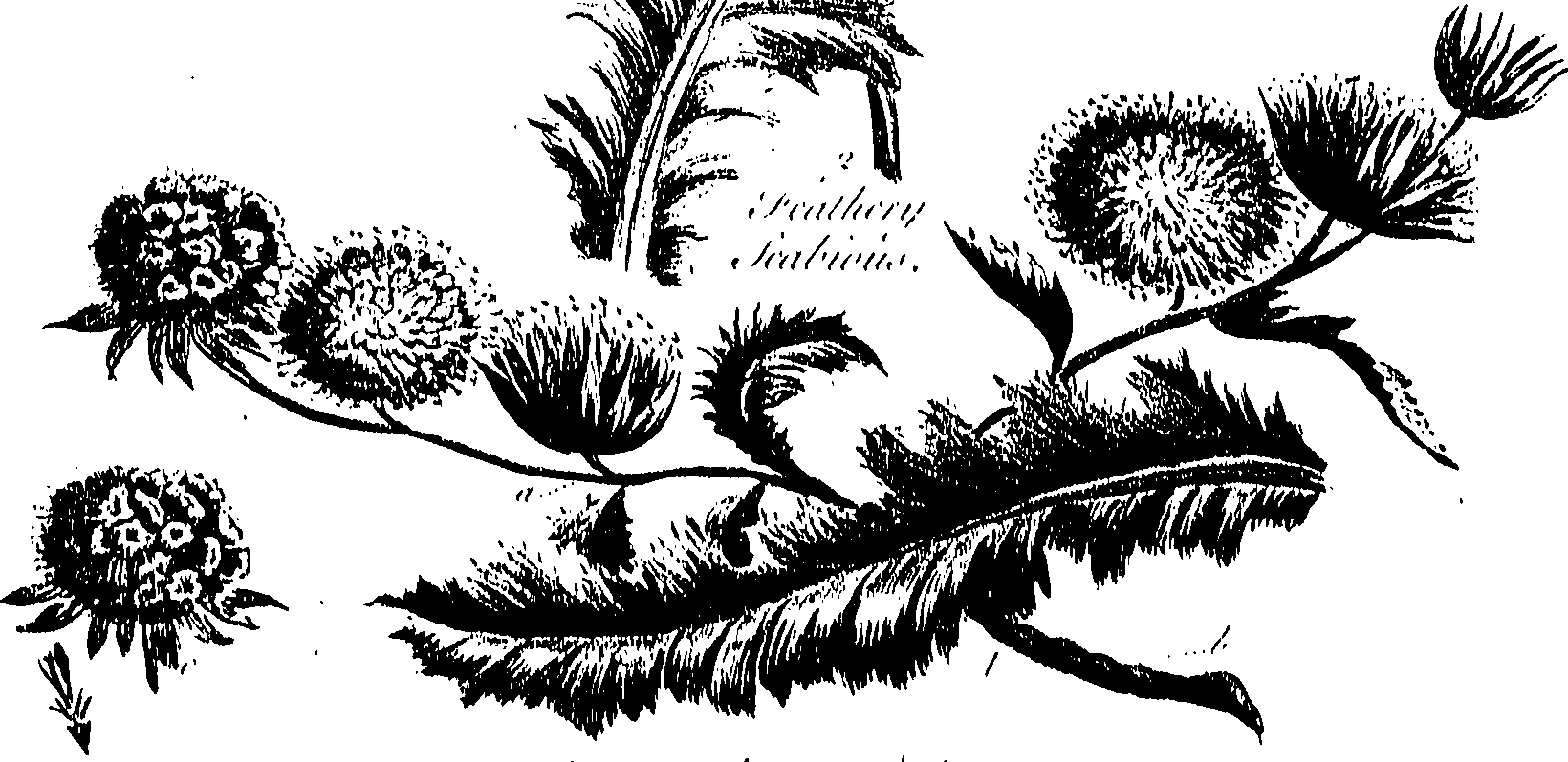 099/099300010501050_0.png