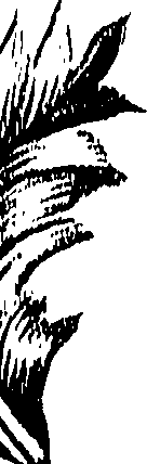 099/099300010501090_0.png