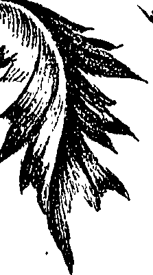 099/099300010501090_1.png