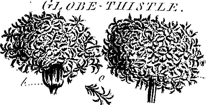 099/099300010501090_3.png