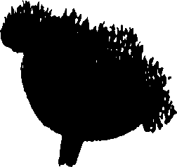 099/099300010501100_0.png