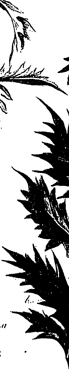 099/099300010501100_1.png