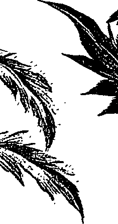 099/099300010501100_2.png