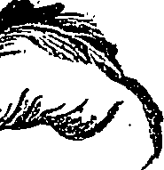 099/099300010501100_3.png