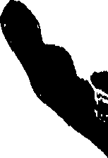 099/099300010501120_1.png