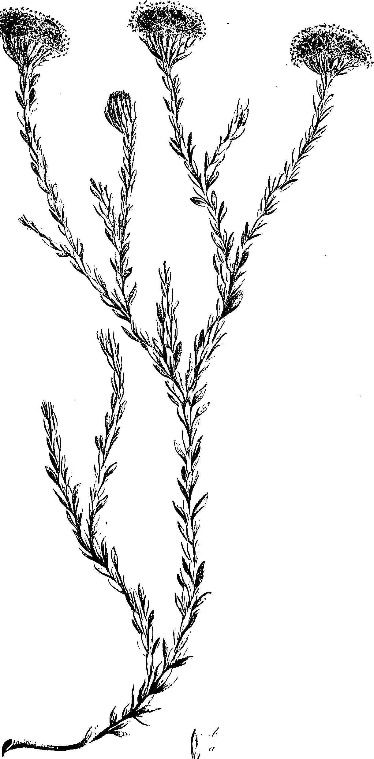 099/099300010501160_0.png