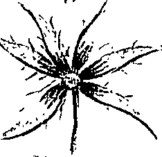 099/099300010501170_0.png