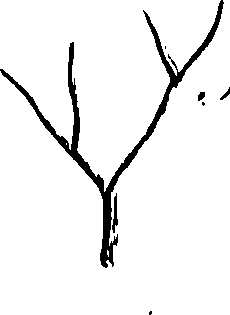 099/099300010501190_0.png