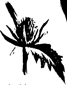 099/099300010501210_0.png