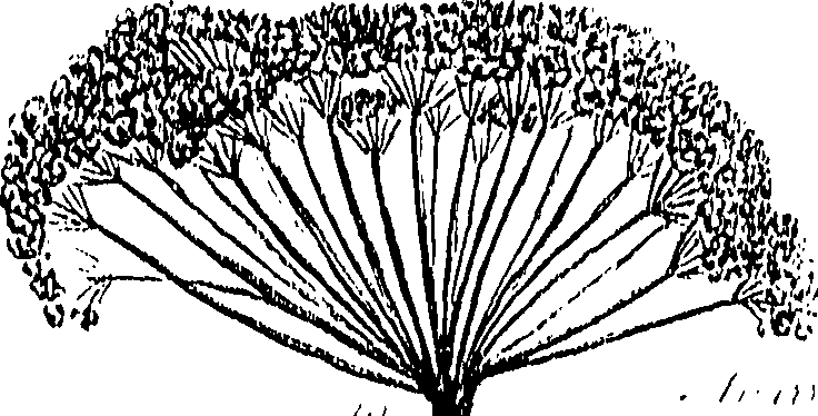 099/099310010600680_0.png