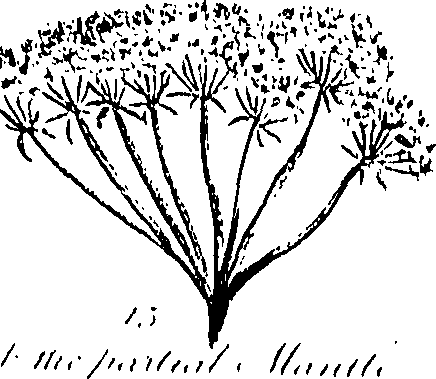 099/099310010600680_1.png
