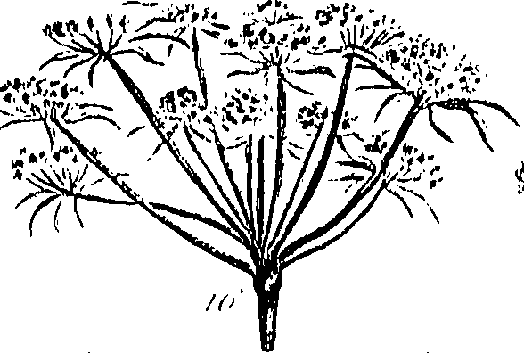 099/099310010600680_2.png