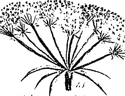 099/099310010600680_3.png
