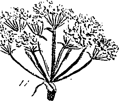 099/099310010600680_4.png