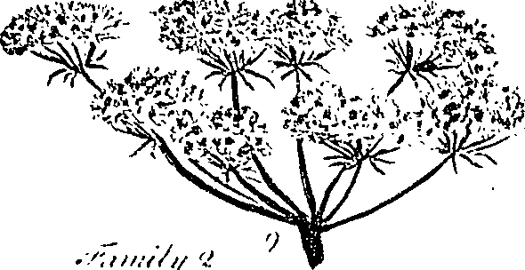099/099310010600680_5.png