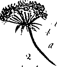 099/099310010600680_6.png