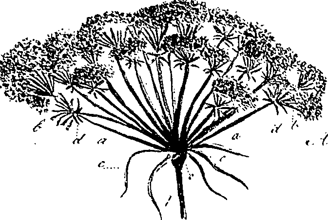 099/099310010600680_7.png