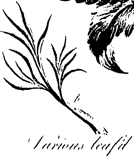 099/099310010600690_0.png