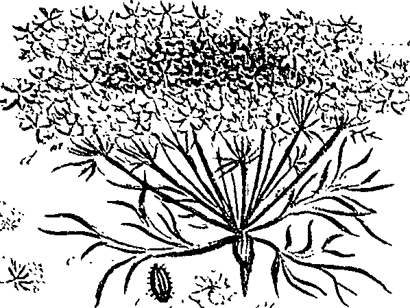 099/099310010600700_0.png