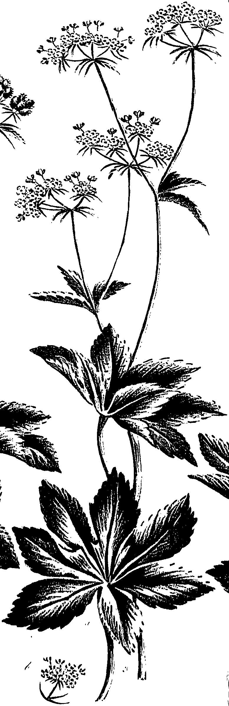 099/099310010600730_0.png