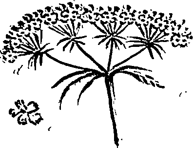 099/099310010600730_1.png