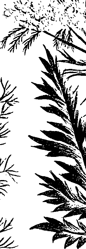 099/099310010600740_0.png