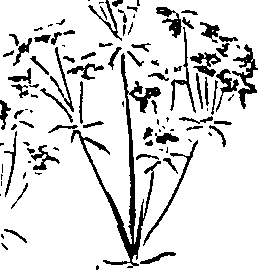 099/099310010600760_0.png