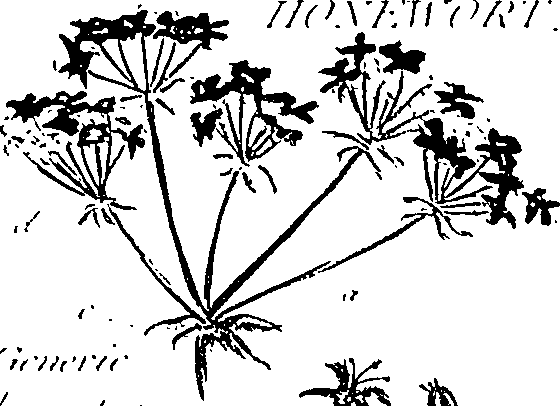 099/099310010600760_1.png