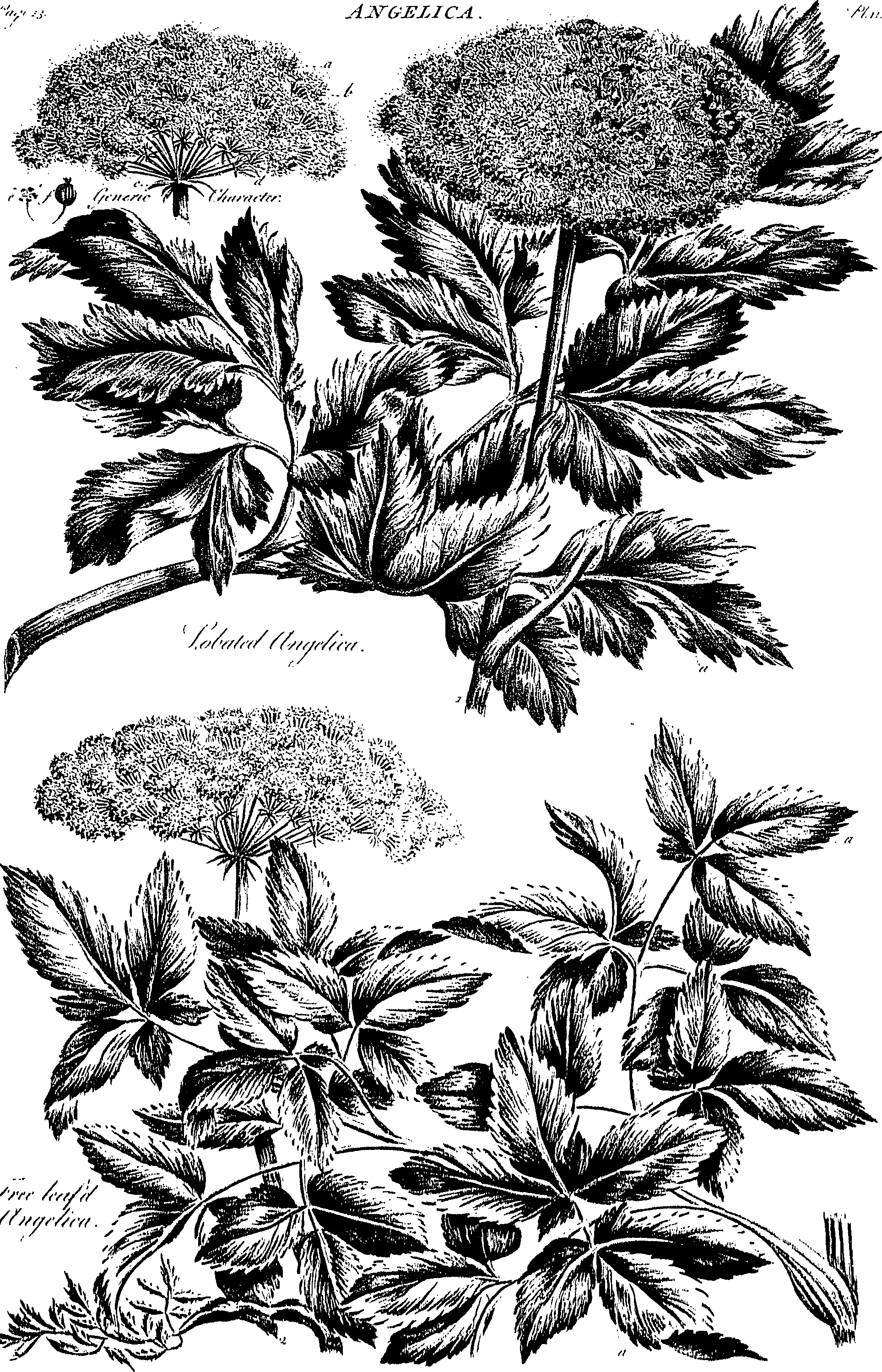 099/099310010600780_0.png