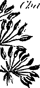 099/099310010600800_1.png