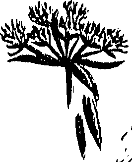 099/099310010600830_0.png
