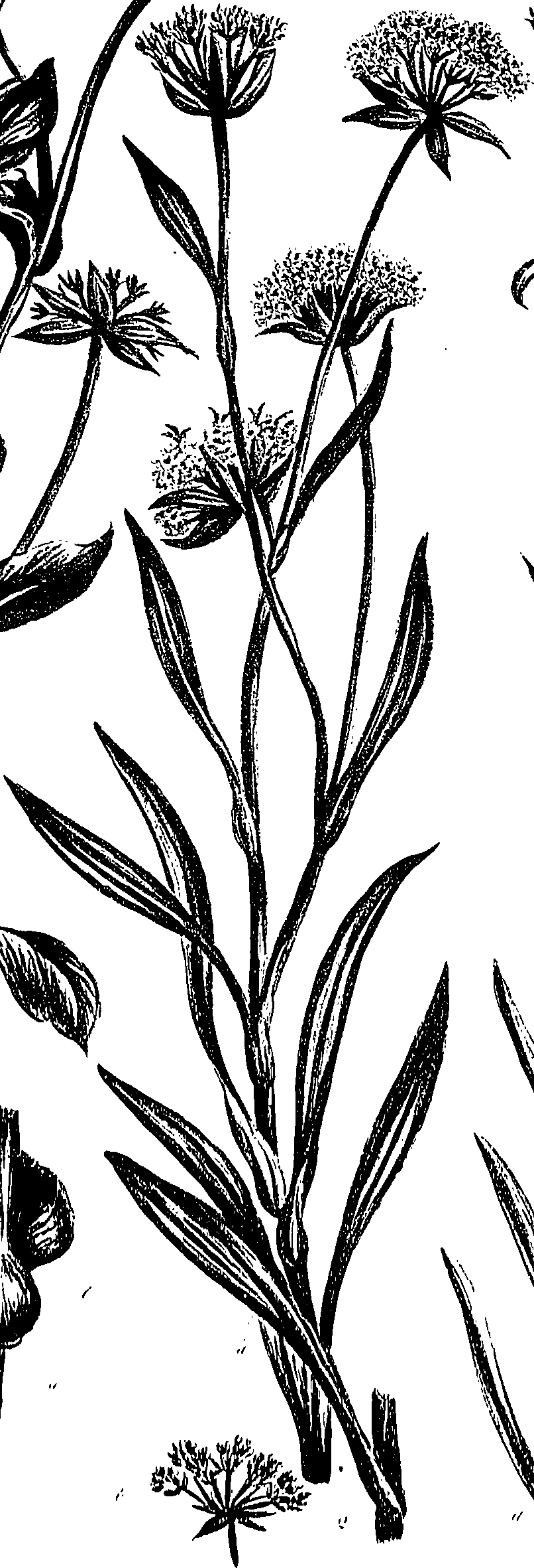 099/099310010600830_1.png