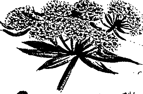 099/099310010600830_2.png