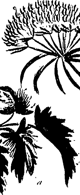 099/099310010600890_0.png