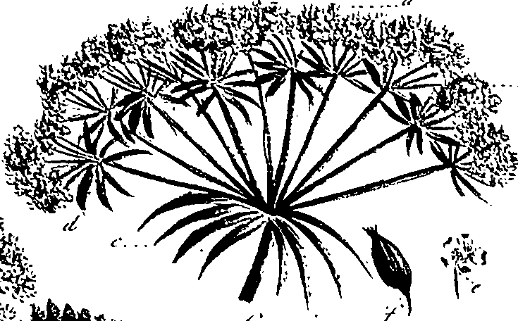 099/099310010600890_1.png