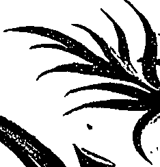 099/099310010600920_0.png