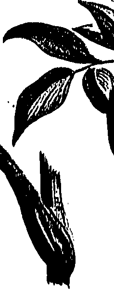 099/099310010600940_0.png
