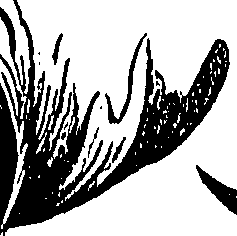 099/099310010600940_1.png