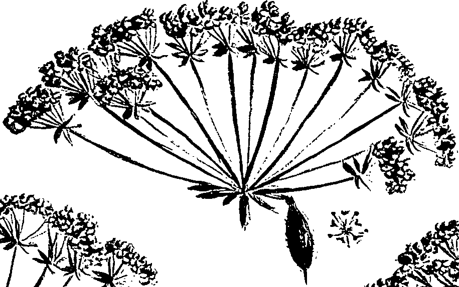 099/099310010600960_0.png