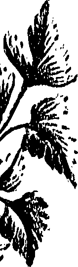 099/099310010600990_0.png