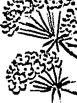 099/099310010600990_1.png