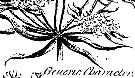 099/099310010601030_0.png